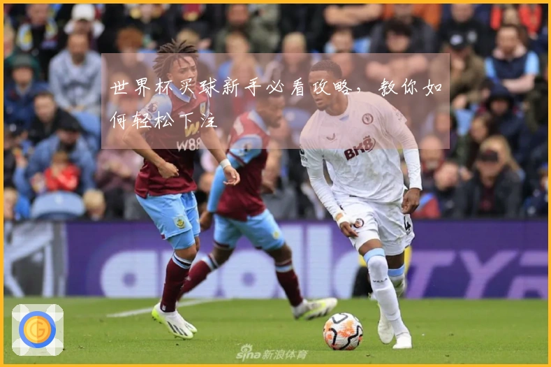 世界杯买球新手必看攻略，教你如何轻松下注